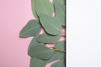 Fresh eucalyptus leaves and blank card with space for design on color background, top view