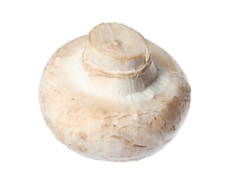 Photo of Fresh champignon mushroom isolated on white. Healthy food