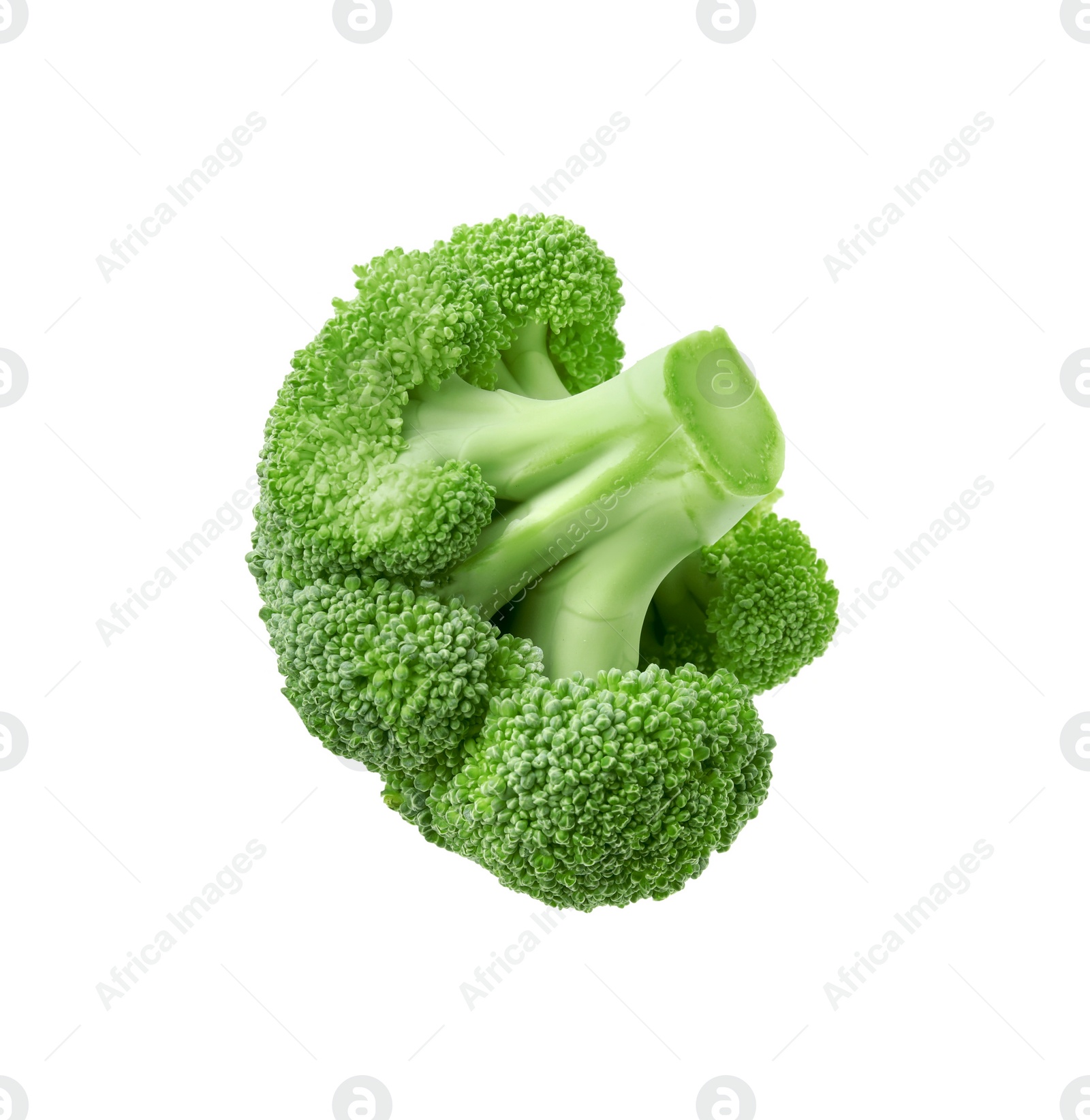 Photo of Fresh raw green broccoli isolated on white