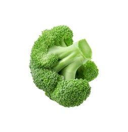 Photo of Fresh raw green broccoli isolated on white