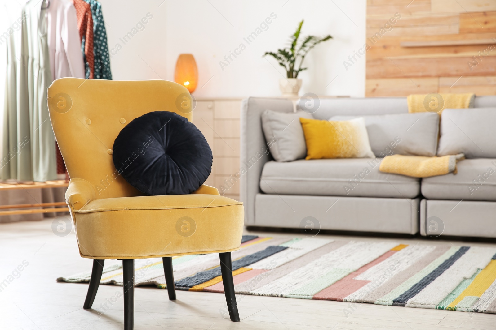 Comfortable armchair with soft cushion in modern living room interior. Space for text Photo of Comfortable armchair with soft cushion in modern living room interior. Space for text