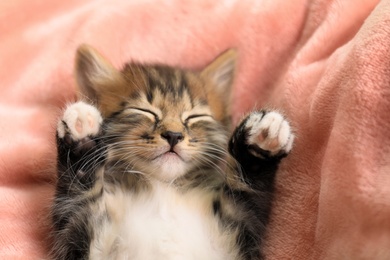 Photo of Cute little striped kitten on pink blanket, closeup view