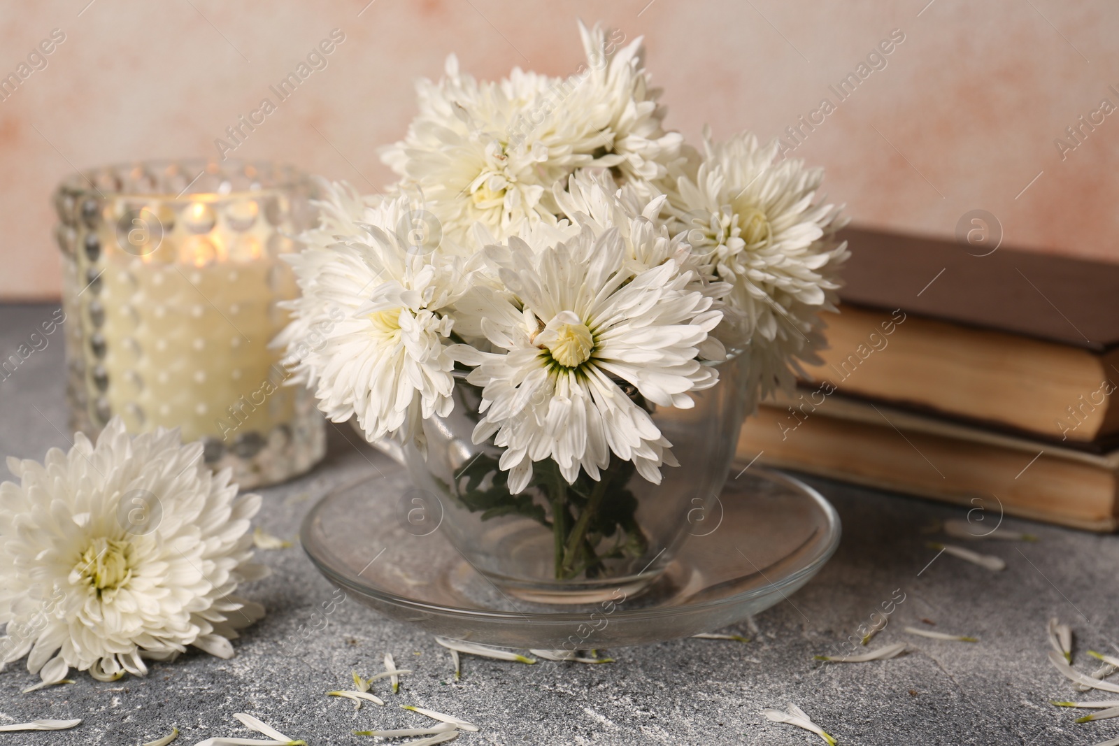 Photo of Composition of chrysanthemum flowers, books and candle on grey textured table