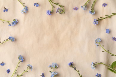 Photo of Beautiful Forget-me-not flowers on parchment, flat lay. Space for text