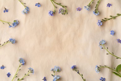 Beautiful Forget-me-not flowers on parchment, flat lay. Space for text