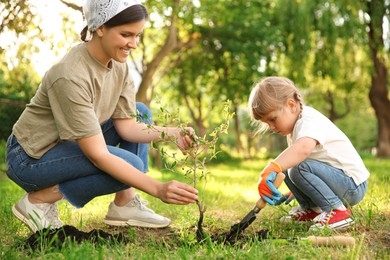 Mother and her daughter planting tree together in garden