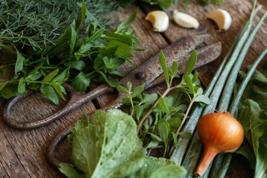 Photo of Different herbs and rusty scissors on wooden table, closeup
