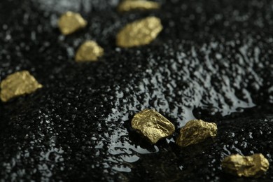 Shiny gold nuggets on wet black stone, closeup