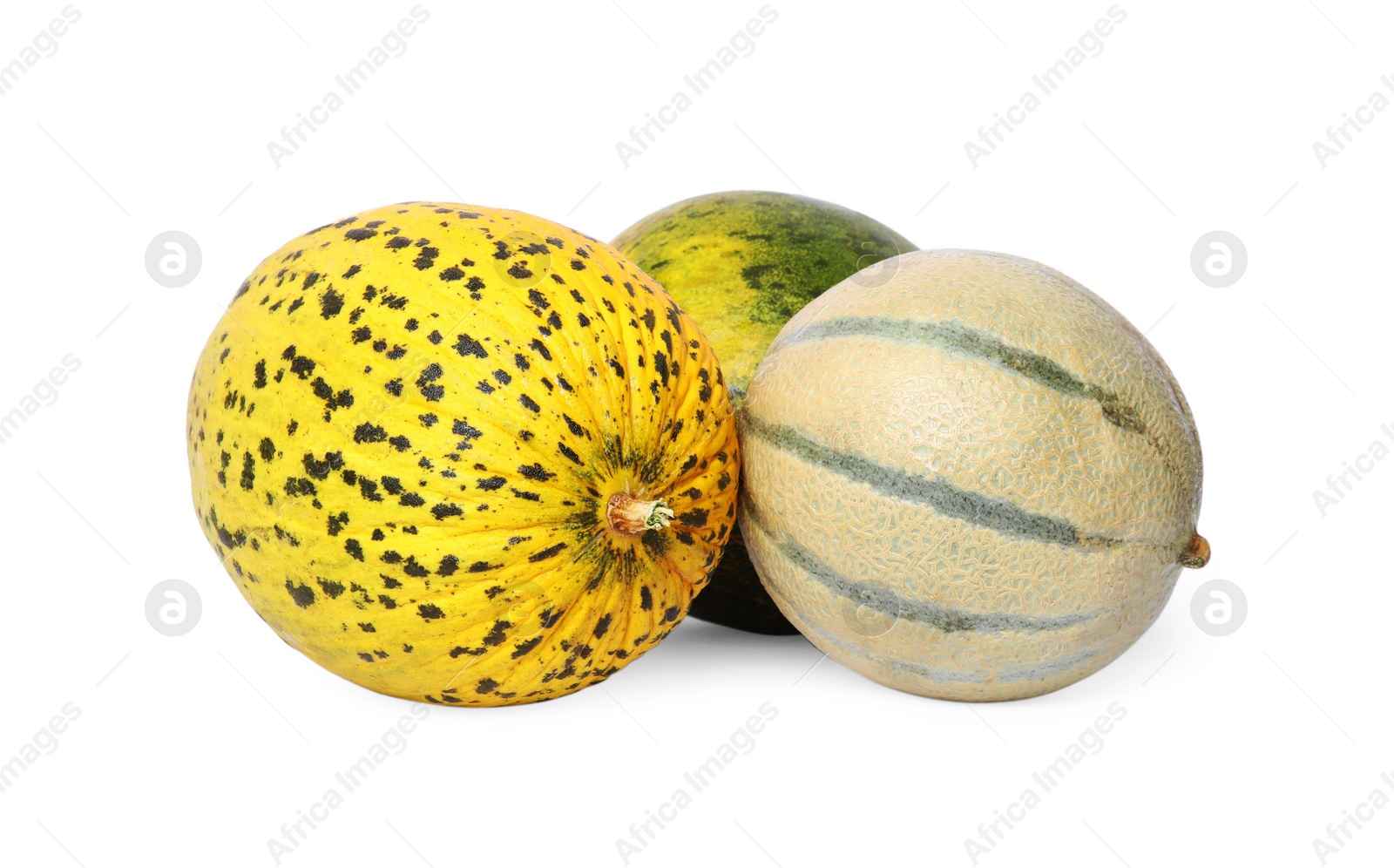 Photo of Tasty colorful ripe melons on white background