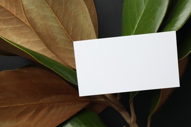 Photo of Blank business card and magnolia branch on black background, top view. Mockup for design