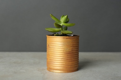 Beautiful echeveria plant in tin can on light grey stone table, closeup