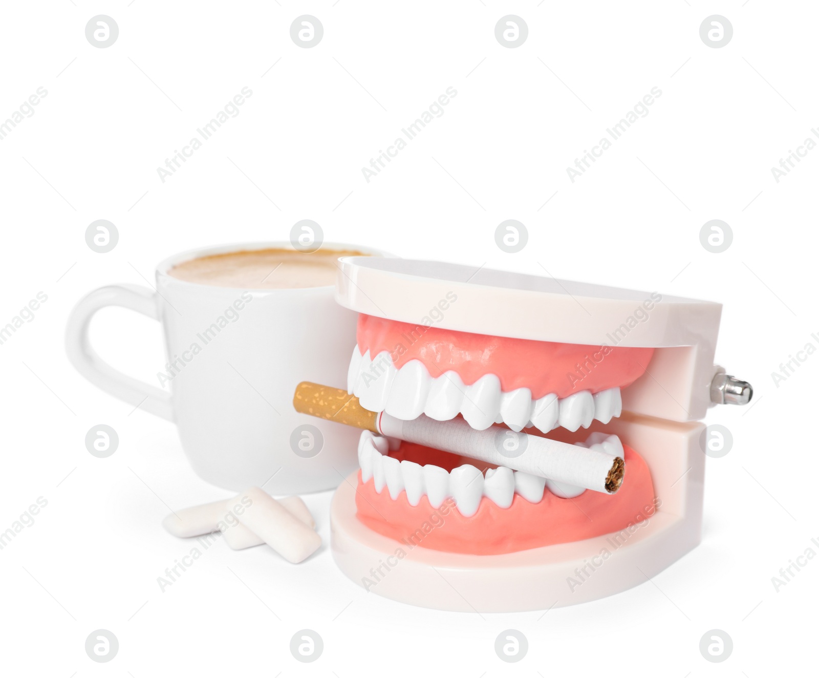 Photo of Typodont teeth with cigarette, chewing gums and coffee on white background