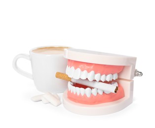 Typodont teeth with cigarette, chewing gums and coffee on white background