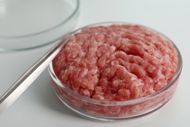 Photo of Petri dish with raw minced cultured meat and tweezers on white table, closeup