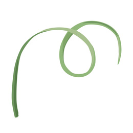 Illustration of Beautiful green stem illustration on white background. Stylish design