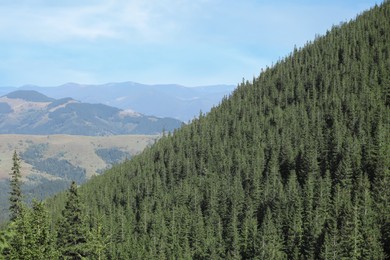 Photo of Picturesque view of mountain hill covered with forest