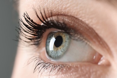 Photo of Macro photo of woman with beautiful eyes