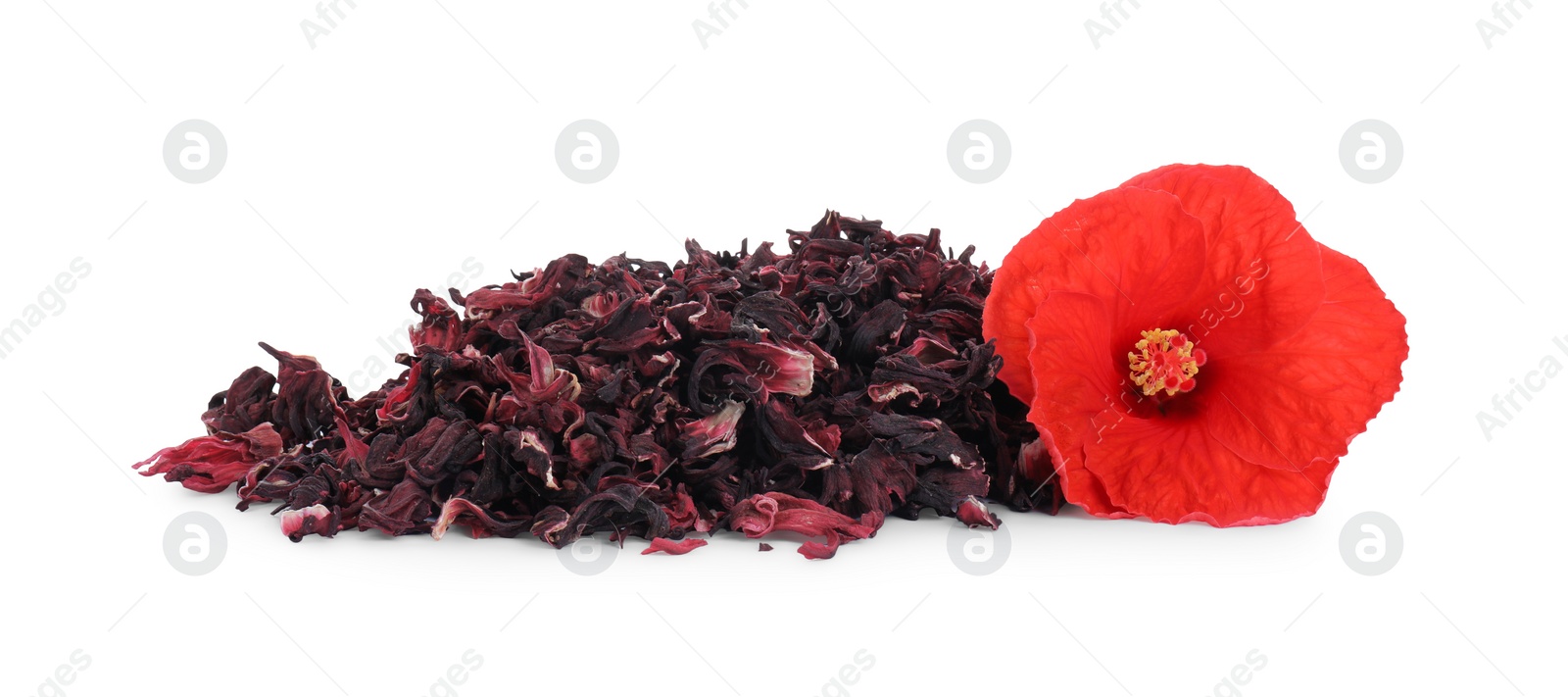 Photo of Pile of dry hibiscus tea and beautiful flower isolated on white