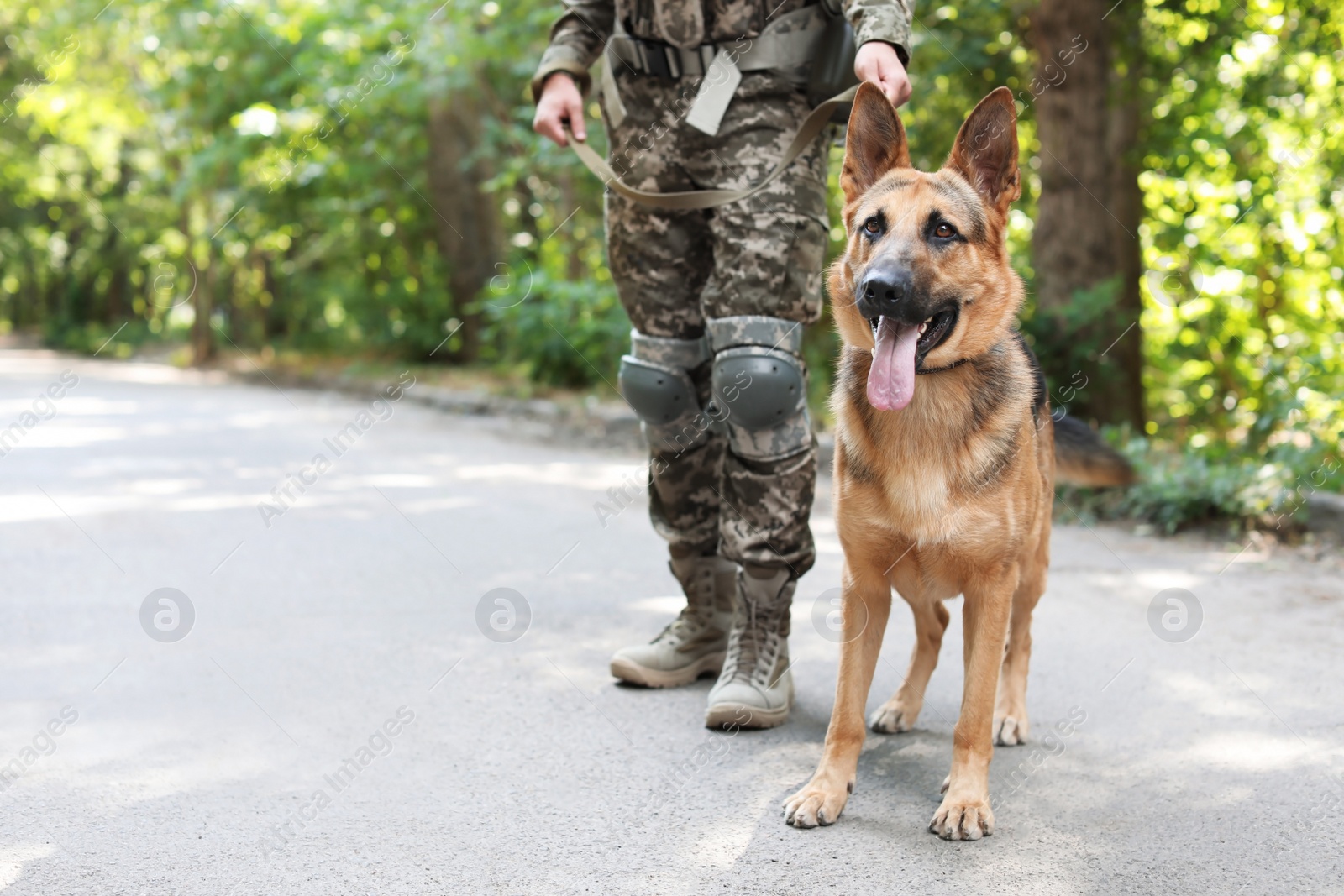 Photo of Man in military uniform with German shepherd dog outdoors