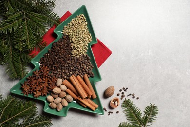 Different spices, nuts and fir branches on light gray textured table, flat lay. Space for text