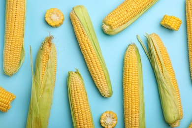 Photo of Flat lay composition with tasty sweet corn cobs on color background