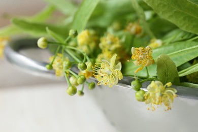Photo of Beautiful linden blossoms and green leaves in metal colander, closeup