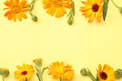 Beautiful fresh calendula flowers on yellow background, flat lay. Space for text