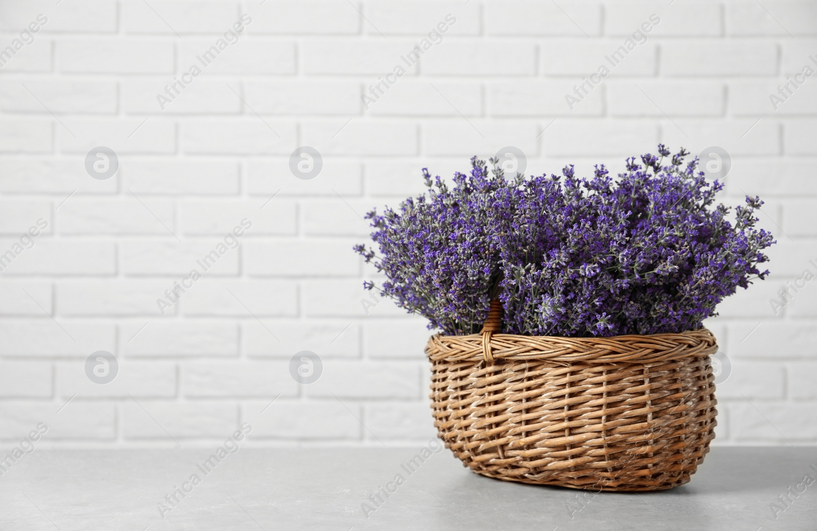 Photo of Fresh lavender flowers in basket on stone table against white brick wall, space for text