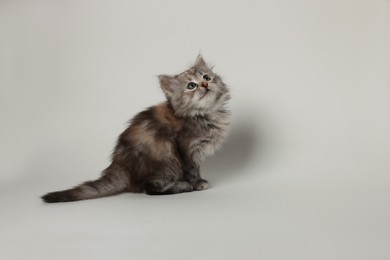 Photo of Cute kitten on light background. Space for text