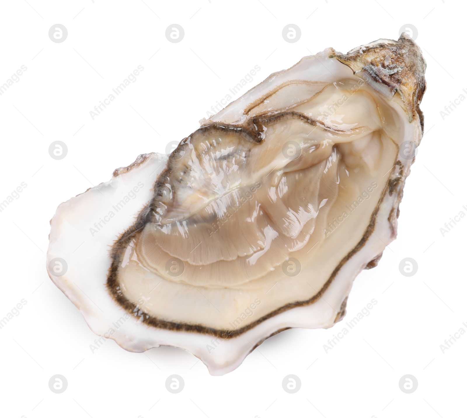 Photo of Fresh raw open oyster on white background