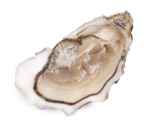 Photo of Fresh raw open oyster on white background