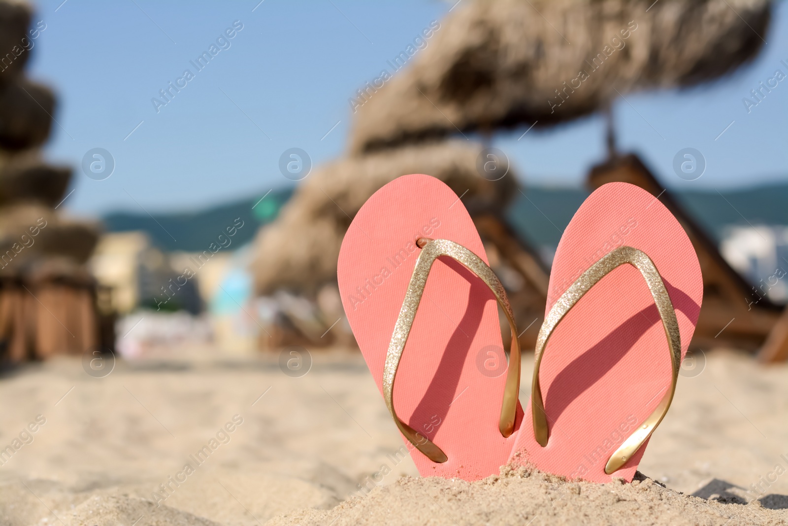 Photo of Stylish flip flops in sand on beach, space for text