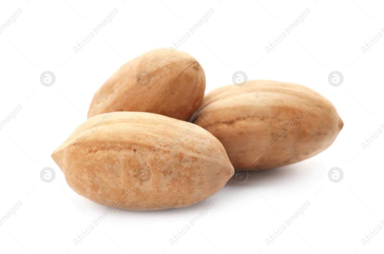 Photo of Pecan nuts in shell on white background. Nutritive food