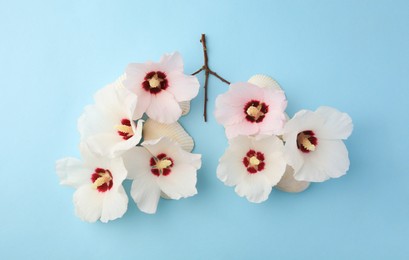 Photo of Human lungs made of white flowers on light blue background, flat lay