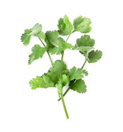 Photo of Aromatic fresh green cilantro isolated on white, top view
