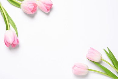 Beautiful pink spring tulips on white background, top view. Space for text