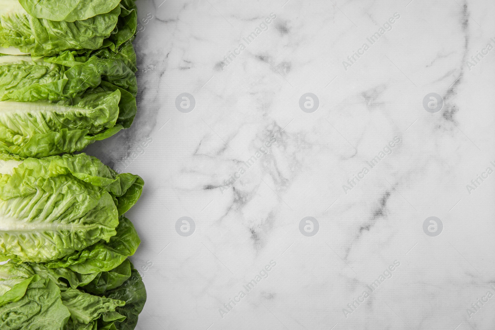 Photo of Fresh green romaine lettuces on white marble table, flat lay. Space for text