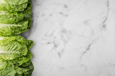 Photo of Fresh green romaine lettuces on white marble table, flat lay. Space for text