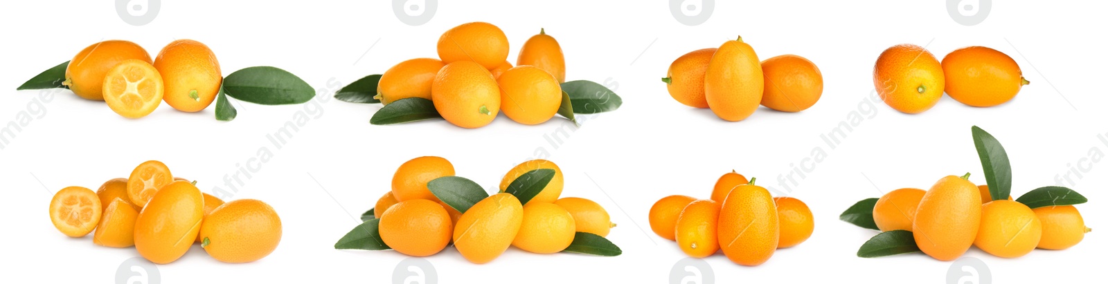 Image of Set with fresh ripe kumquat fruits on white background. Banner design