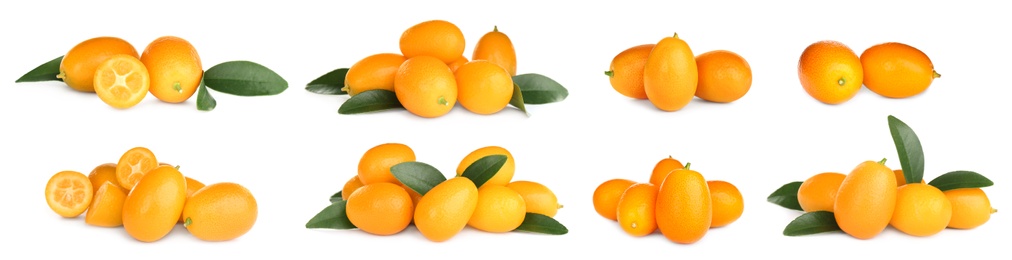 Image of Set with fresh ripe kumquat fruits on white background. Banner design