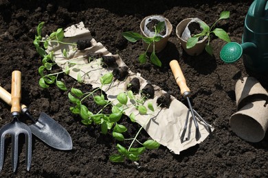 Photo of Many seedlings and different gardening tools on ground outdoors