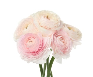 Photo of Beautiful spring ranunculus flowers isolated on white