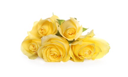Photo of Beautiful fresh yellow roses isolated on white