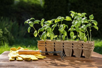 Photo of Beautiful seedlings in containers, gloves and rake on wooden table outdoors
