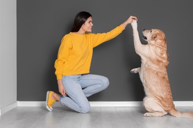 Cute Labrador Retriever giving paw to happy owner near grey wall indoors
