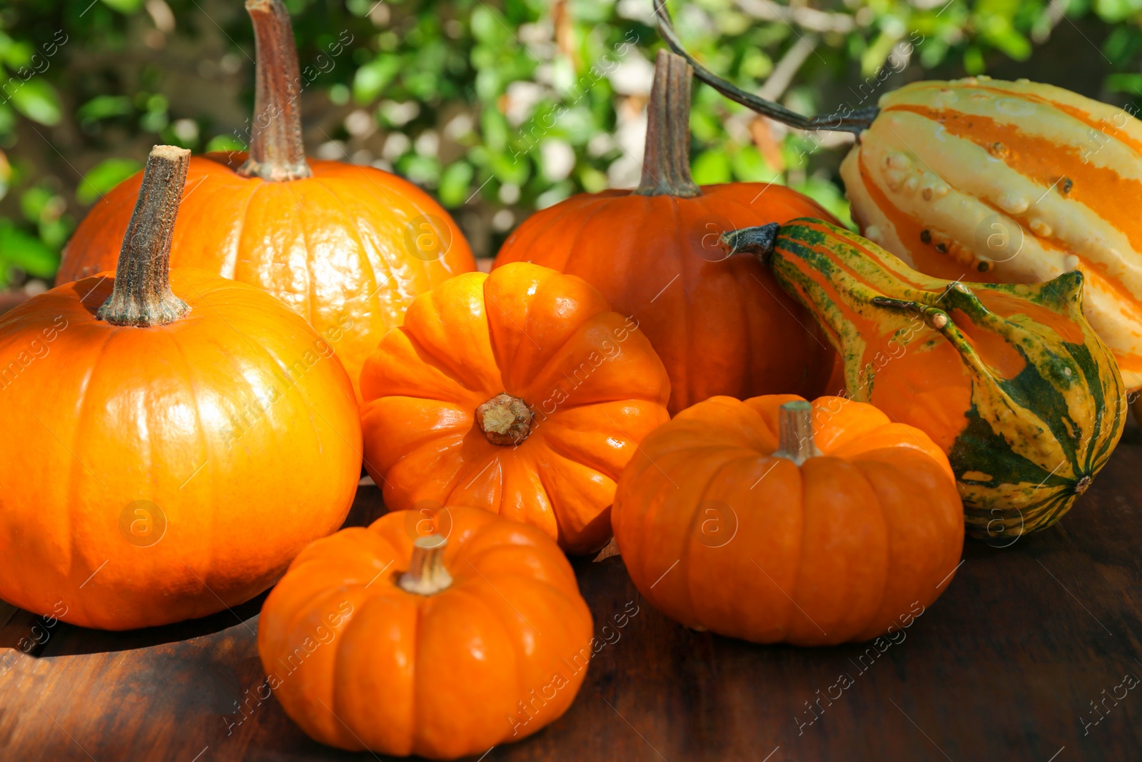 Photo of Many different ripe orange pumpkins on wooden table outdoors