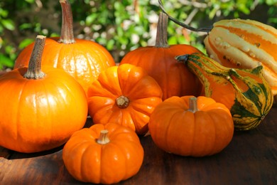 Photo of Many different ripe orange pumpkins on wooden table outdoors