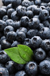 Wet fresh blueberries with green leaves as background, closeup