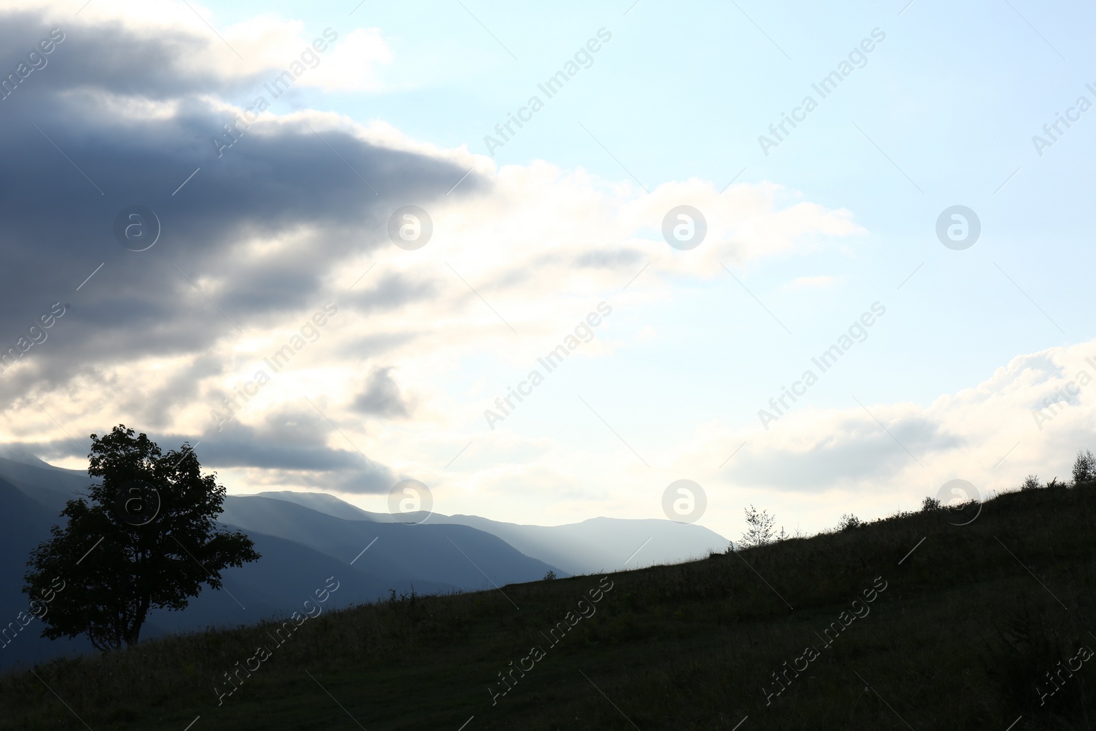 Photo of Beautiful mountains with tree under cloudy sky at sunset. Picturesque landscape