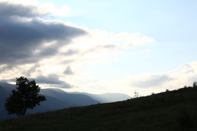 Beautiful mountains with tree under cloudy sky at sunset. Picturesque landscape